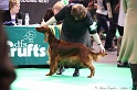 Crufts2011 519